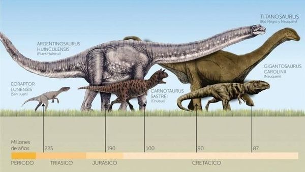 10 Dinosaurus Terbesar yang Pernah Hidup di Muka Bumi