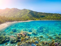 Melalui Media Sosial, Jokowi Dukung Pariwisata Indonesia