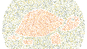 Tes Buta Warna, Bisakah Kamu Menebak Semua Hewan dalam Gambar Ini?