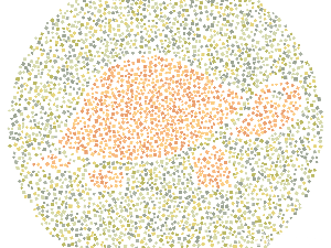 Tes Buta Warna, Bisakah Kamu Menebak Semua Hewan dalam Gambar Ini?