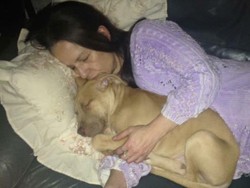 Lindungi Tamu, Wanita Ini Tewas Diserang Anjingnya Sendiri