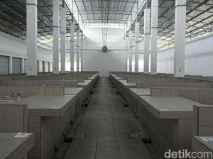 Tempat Lelang Ikan Labuan Bajo Bisa Seperti Pasar Tsukiji Nggak Ya?