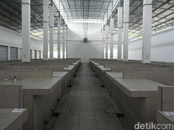 Tempat Lelang Ikan Labuan Bajo Bisa Seperti Pasar Tsukiji Nggak Ya?