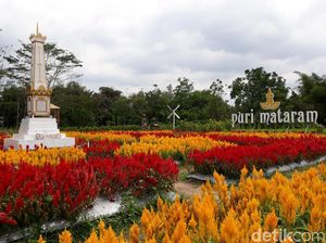 Foto: Taman Bunga Cantik Bak di Eropa, Padahal di Yogya