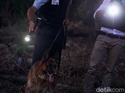 6 Fakta Polwan Manado Briptu C Jadi Buronan