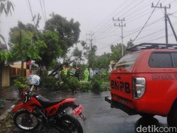 Pohon Tumbang dan Hujan Hentikan Jalan Santai Hari Kesehatan