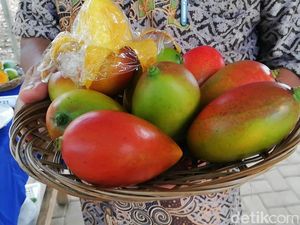 Agri Gardina, Mangga Mungil Bisa Dikupas Seperti Pisang