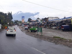 Jalan Retak di Puncak, Kunjungan ke Taman Safari Tak Terganggu