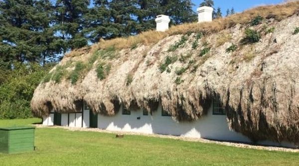 Aneh, Rumah Ini Pakai Tumpukan Rumput Laut untuk Jadi Atap