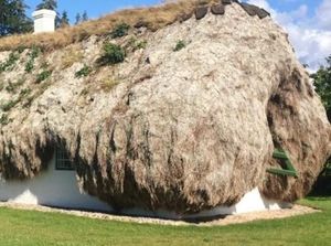 Aneh, Rumah Ini Pakai Tumpukan Rumput Laut untuk Jadi Atap