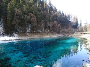 Danau 5 Warna, Keajaiban Alam Lembah Jiuzhaigou Danau 5 Warna, Keajaiban Alam Lembah Jiuzhaigou