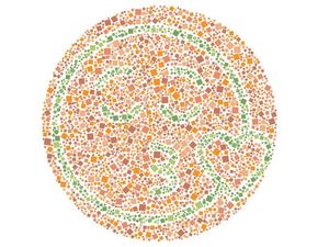 Yang Ini Beda! Tes Buta Warna, Hasilnya Bisa Mewakili Suasana Hati