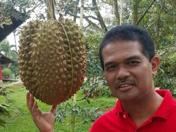 Kementan: Buah Lokal Merajai Pasar Dalam Negeri dan Ekspor