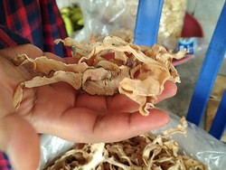 Kriuk Renyah Keripik Usus Pepaya yang Gurih Enak