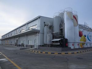 Pabrik Ini Produksi 260 Ton Yogurt Per Tahun