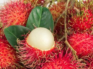 Terjatuh dari Pohon Rambutan, Bocah 6 Tahun Tewas