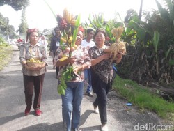 Mengenal Festival Mosintuvu, Pesta Hasil Bumi Rakyat Poso