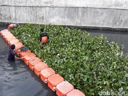 Pemprov Jelaskan Beda Batas Umur Petugas LH-UPK Air yang Disoal Hotman