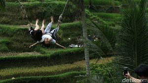 Serunya Bermain Ayunan di Tegalalang Bali