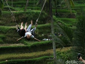 Serunya Bermain Ayunan di Tegalalang Bali Serunya Bermain Ayunan di Tegalalang Bali