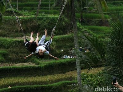 Serunya Bermain Ayunan di Tegalalang Bali