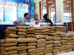 Ganja 181 Kg untuk Tahun Baru di Bandung Disita BNN Jabar