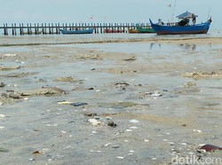 Lagi-lagi, Pantai Pasir Putih Rembang Ini Berlumpur dan Bau Busuk