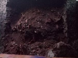 Tanah Longsor Terjadi di Cilandak, Penghuni Rumah Dievakuasi