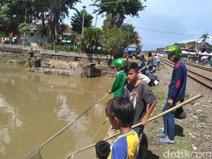 Video Warga Berburu Ikan Mabuk di Kali