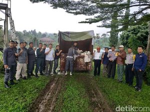 Foto: 92 Merak Eksotis yang Disembunyikan di Vila Mewah Bogor