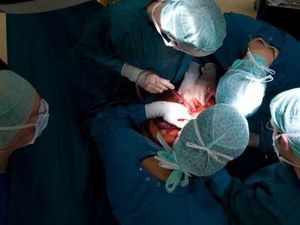 Ribuan Warga Australia Berkontribusi pada Perdagangan Organ Tubuh Ilegal