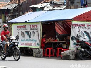 Tukang Pecel Lele Digebuki, Raffi Ahmad Hijrah, Operasi Otak Jarak Jauh Tukang Pecel Lele Digebuki, Raffi Ahmad Hijrah, Operasi Otak Jarak Jauh