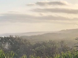 Kebakaran Hutan Masih Terjadi, Queensland Australia Semakin Panas
