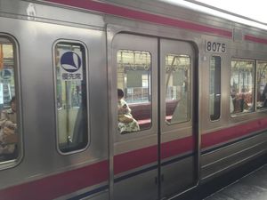 Beda Gerbong Kereta Khusus Wanita di Jepang dan Indonesia