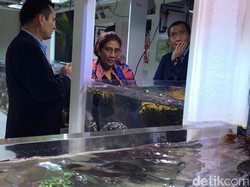 Ajak Negara Sikat Maling Ikan, Susi: Kalau Nggak Sekarang Nanti Pusing