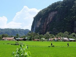 Air Terjun Film Up Ada di Payakumbuh