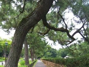 Nagoya, Kota Menyenangkan di Jepang yang Malah Dianggap Membosankan