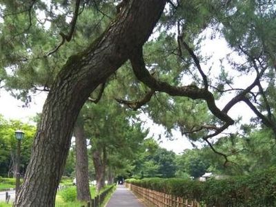 Potret Nagoya Jepang dan Kebiasaan yang Jarang Diketahui