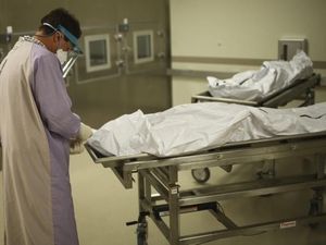 Makanan Terakhir Korban Pembunuhan Bisa Jadi Alat Identifikasi Pembunuhnya Makanan Terakhir Korban Pembunuhan Bisa Jadi Alat Identifikasi Pembunuhnya