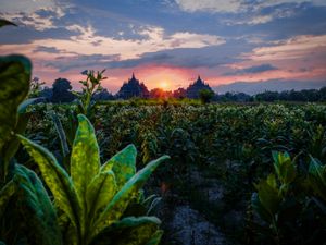 Beauty Dusk of Java