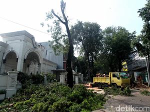 Pohon Tumbang di Panglima Polim Dievakuasi