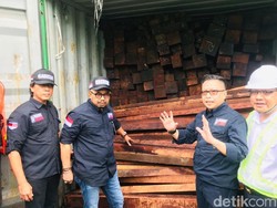 Penyelundupan 40 Kontainer Kayu Ilegal Asal Papua Barat Digagalkan