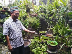 Melihat Kebun Kesayangan Nh Dini di Wisma Lansia