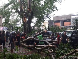 Pasca Puting Beliung Bogor, Warga Diminta Tetap Waspada