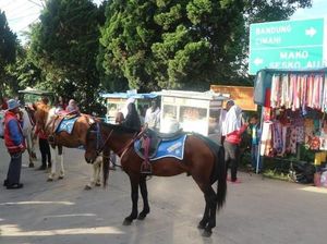 Libur Akhir Pekan di Bandung, Ayo ke Weekend Market Lembang