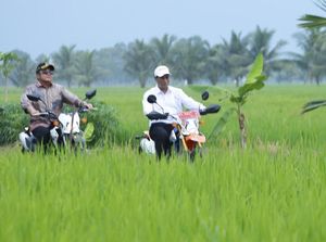 Naik Motor, Mentan Cek Sawah Pasang Surut di Sumsel