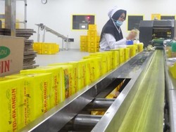 Rombongan Kemenkes Terpukau Canggihnya Pabrik Sido Muncul di Ungaran