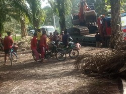 4 Perambah Hutan Cagar Biosfer di Riau Ditangkap