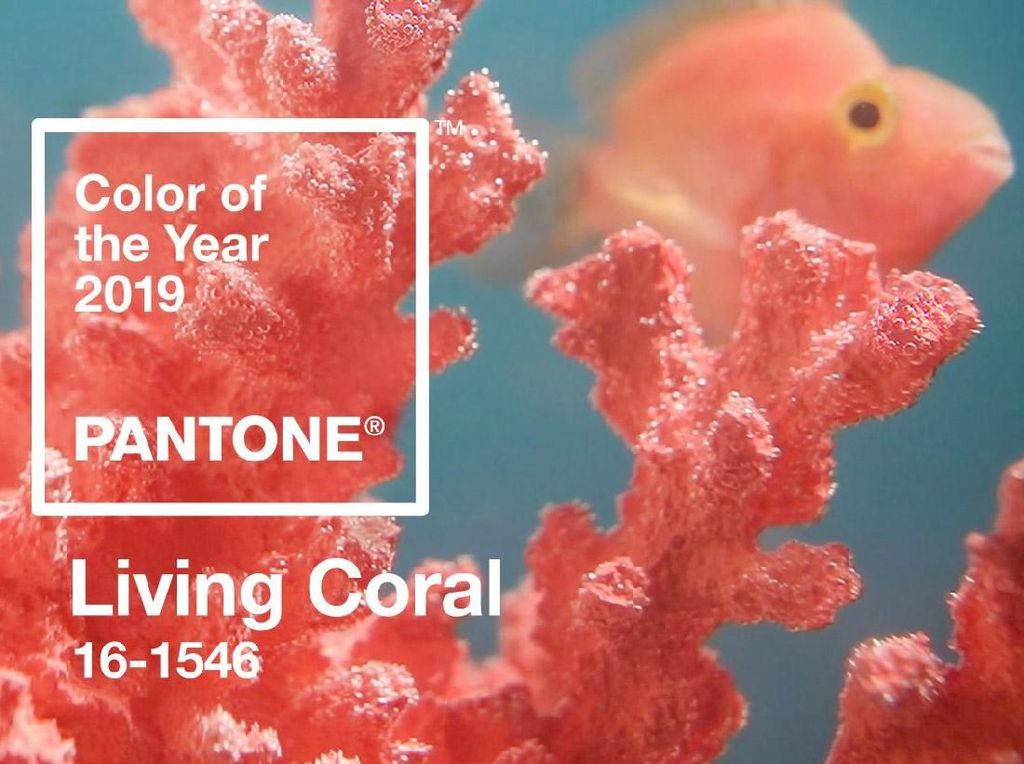 Ini Tren Warna 2019 dari Pantone: Living Coral