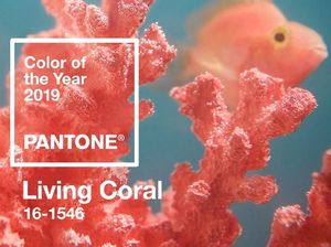 Ini Tren Warna 2019 dari Pantone: Living Coral Ini Tren Warna 2019 dari Pantone: Living Coral